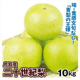 梨 10kg 二十世紀梨 鳥取産 ご家庭用 二十世紀 和梨 ブランド梨 鳥取 送料無料 食品の画像