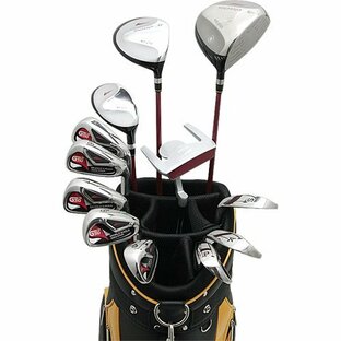 WORLD EAGLE G510 メンズ クラブセット 12本 右用/R バッグ:CBX007 初心者 上級者 ゴルフクラブの画像