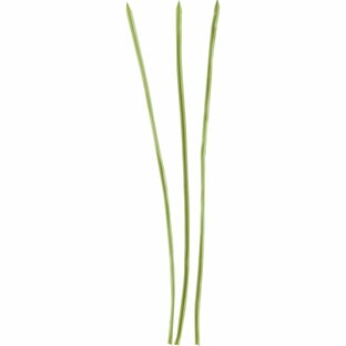 【造花】YDM/ソードロングリーフ×3 ライトグリーン/FG-4847-LGR【01】【取寄】 造花（アーティフィシャルフラワー） 造花葉物、フェイクグリーン その他の造花葉物・フェイクグリーンの画像