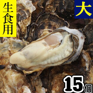 【日指定OK】牡蠣 生食用 大 殻付き 15個 三陸産 宮城県 かき 生がき 牡蠣 生 牡蛎 貝 魚介 産地直送 大きいサイズの画像