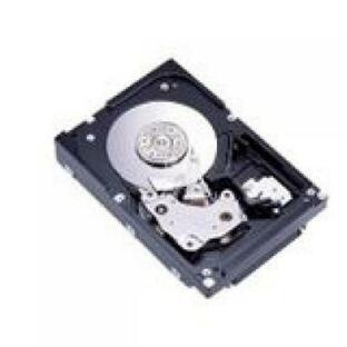 外付け HDD ハードディスク IBM 42D0410 Enhanced Disk Drive Module Hard 300GB Hot-Swap 4GB Fibre Chan Gbps FB GB15K E-DDMの画像