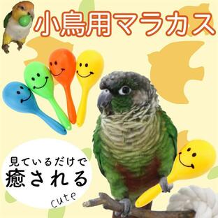 インコ おもちゃ マラカス 鳥 インコグッズ 玩具 小鳥 鳥用品 鳥グッズ バードトイの画像