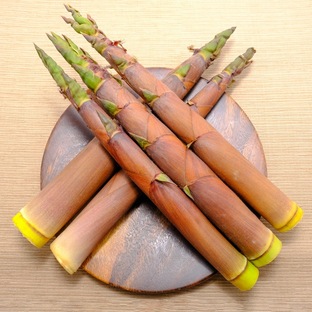 淡竹 たけのこ 約3kg 天然物 長野県産 山菜 はちく ハチク タケノコ 筍 土佐煮 たけのこご飯の画像