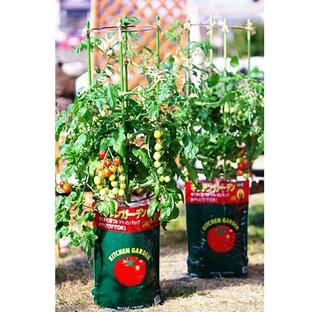 ◆デルモンテ キッチンガーデン トマト用培養土 トマトの土 １５Ｌの画像