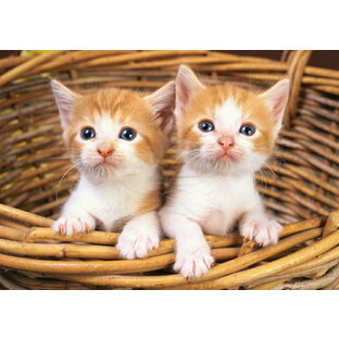 絵画風 壁紙ポスター (はがせるシール式) カゴの中の2匹の子猫 ペット ネコ かわいい キャット キャラクロ PCAT-005A1 (A1版 830mm×585mm) ＜日本製＞ ウォールステッカー お風呂ポスターの画像
