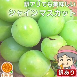 特大！もぐもぐシャインマスカット 訳あり 約1.2kg(目安1〜3房) ご家庭用 送料無料 フルーツ 葡萄 ふぞろい 果物 旬 くだものの画像