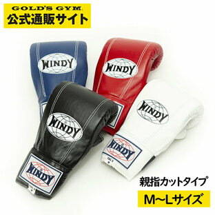 【日本総代理店】WINDY(ウィンディ)TBG-2/TBG-4 パンチンググローブ(親指カットタイプ)| 格闘技 ボクシング キックボクシングの画像
