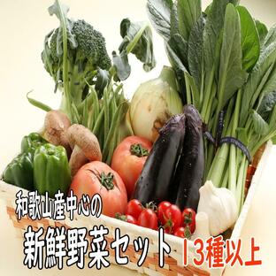 野菜セット 旬の野菜詰め合わせ 13種以上 和歌山産中心 送料無料の画像
