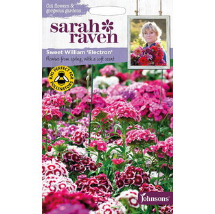 【種子】Johnsons Seeds Sarah Raven Cut flowers & gorgeous gardens Sweet William Electron スイート・ウイリアム（なでしこ） エレクトロン ジョンソンズシードの画像
