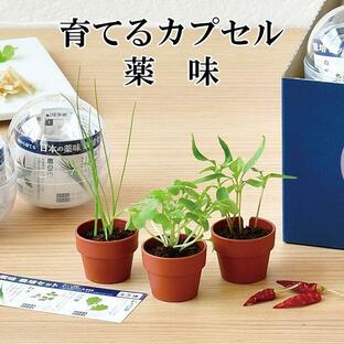 栽培キット 育てるカプセル 薬味 栽培セット 植物 グリーン 青じそ 鷹の爪 ねぎ 三つ葉 わさび菜 野菜 かわいい おしゃれ ギフト グリーンの画像