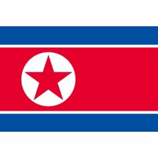 TOSPA 北朝鮮国旗セット 高級アルミ合金パーツ付きの画像