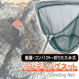 網 釣具 タモ網 魚 釣り 伸縮 折りたたみ式 ランディングネット 釣り網 柄 玉網 フィッシング ワンタッチ たも網の画像