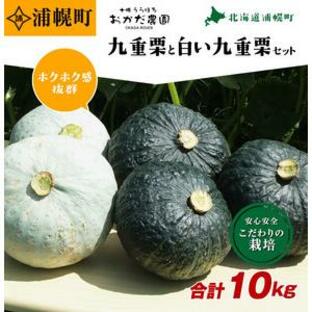 ふるさと納税 かぼちゃ合計10kg（九重栗2〜3玉、白い九重栗2玉程度）おかだ農園《9月中旬出荷》 北海道浦幌町の画像