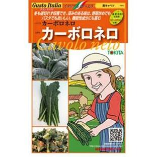 黒キャベツの種 カーボロネロ 小袋（トキタ） ( 野菜の種 )の画像