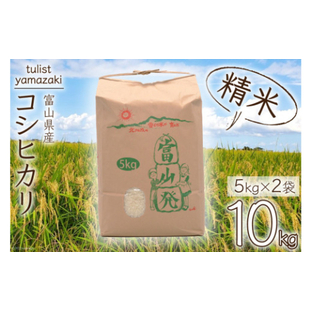 米 令和5年 コシヒカリ 精米 10kg ( 5kg ×2) / チュリストやまざき / 富山県 朝日町 [34310331] こしひかり お米 白米 ごはん 農家 直送 皇室献上 美味しいの画像