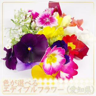 色が選べる食用花 エディブルフラワー 愛知県産の画像