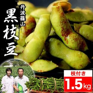 枝豆 2024 丹波篠山 ブランド 黒枝豆 1.5kg 枝付き h-e1.5 もっちり 大粒 丹波 黒豆の画像