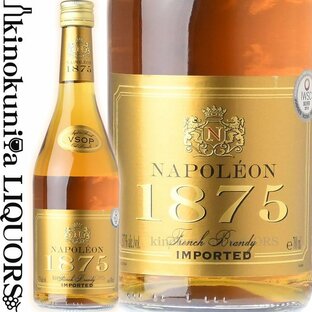 グラン シェ ド フランス ナポレオン 1875 フレンチ ブランデー 700ml フランス アルザス GCF NAPOLEON French Brandyの画像