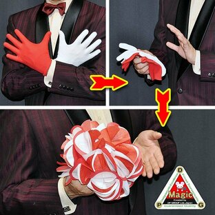 手品・マジック DPG 花束と紅白手袋 T7221の画像