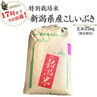 令和５年産 お米 25kg 特別栽培米 新潟産こしいぶき 玄米25kg×1袋 / 白米4.5kg×5袋（精米無料） 送料無料（一部地域を除く）の画像