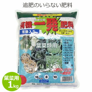 住化農業資材 有機一発肥料 葉菜類用 1kg 肥料 追肥不要 有機配合肥料 有機質配合 家庭菜園 野菜 葉野菜 キャベツ 白菜 栽培 ガーデニングの画像