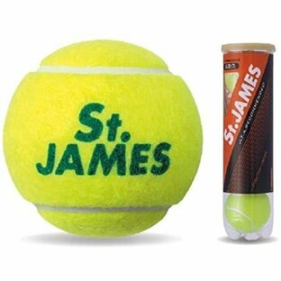 DUNLOP(ダンロップ) 硬式テニス ボール St [ セント・ジェームス ] DUNLOP(ダンロップ) 硬式 テニス 4個入りボトルの画像