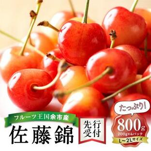 ふるさと納税 余市町 【先行受付】令和7年産佐藤錦【L〜2Lバラ詰め】200g×4【ニトリ観光果樹園】_Y074-0111の画像