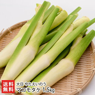 マコモタケ 1.5kg 大日 やたえいのう 産地直送 送料無料【真菰筍 マコモダケ まこもたけ ハナガツミ 炒め物 中華料理 唐揚げ おつまみ 希少野菜 お取り寄せ 】お中元の画像