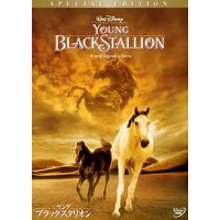 ヤング・ブラック・スタリオン [DVD]の画像