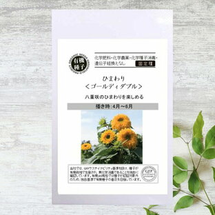 【有機種子】 ひまわり/ゴールディーダブル S 10粒 種蒔時期 4～6月の画像
