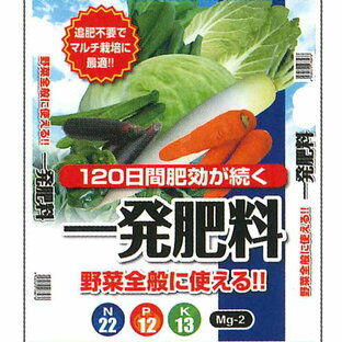 セントラルグリーン 一発肥料 野菜全般用 5kg トマト ナス キュウリ ピーマン キャベツ 白菜の画像