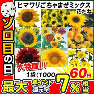 種 花たね ヒマワリごちゃまぜミックス 1袋(1000mg)【送料グループ：R18E1】 / 花のたね 花の種 花種 向日葵の画像