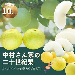 梨 二十世紀梨 (訳ありご自宅用 ）梨 中村さん家の 鳥取二十世紀梨 10kg（S-4Lサイズ混合 ）二十世紀梨の本場鳥取から産地直送！の画像