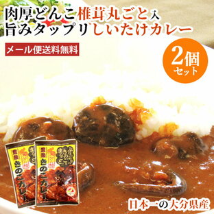 2個セット 日本一の大分県産 肉厚しいたけが丸ごと入った 椎茸カレー 1食分90g 大分県椎茸農業協同組合 が厳選した干し椎茸「若芽どんこ」たっぷり使用【メール便送料無料】の画像