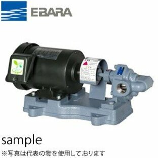 エバラ 歯車ポンプ 20GPE5.4B 三相200V 50Hz(東日本用) 20mmの画像