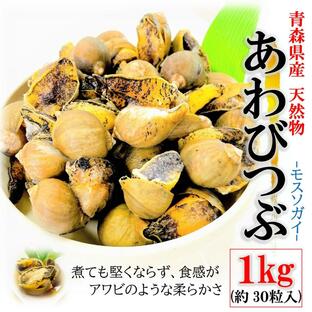 あわびつぶ 1kg/袋（約30粒前後）青森県産 天然 モスソガイ 煮てもかたくならない 煮つけ・おでん・バター焼きにもどうぞ おでんつぶ つぶ貝 ツブ貝 粒貝の画像