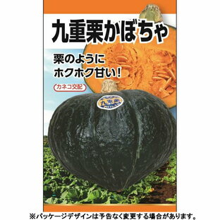 日本農産 野菜の種/種子 南瓜 九重栗かぼちゃ 種 （追跡可能メール便発送 全国一律370円）17070の画像