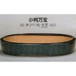 植木鉢 陶器 常滑焼 【誠山】小判万宝盆栽鉢(17号_生子)05T31の画像