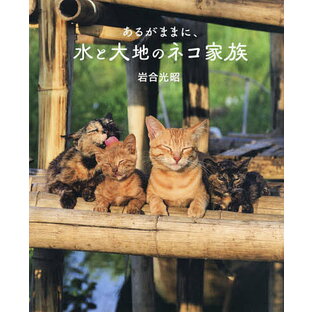 あるがままに,水と大地のネコ家族 劇場版岩合光昭の世界ネコ歩き 岩合光昭の画像