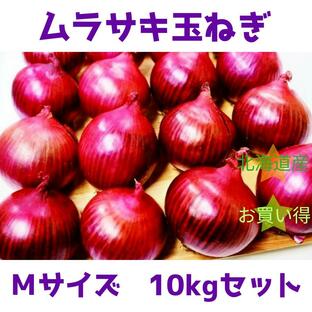 紫玉ねぎ 赤玉ねぎ 北海道産 Mサイズ 約10kg 2024年度商品 先行予約受付開始の画像