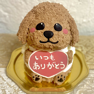 トイプードルの立体ケーキ 犬 ガナッシュクリーム 誕生日 センイルケーキ 動物ケーキ ドンムルケーキの画像