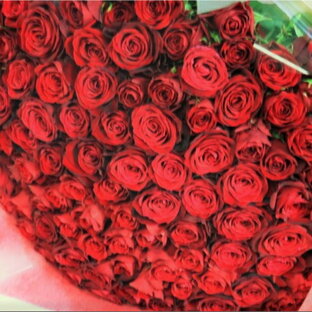 【国産最高級バラ】【プロポーズ】バラの花束ギフト108本！好きな色を選んでください 生産者直送だからバラの鮮度が違う！赤い薔薇 御祝い 花束プロポーズ用 記念日 最高級な薔薇 トップローズ 秀品のバラ【送料無料】の画像