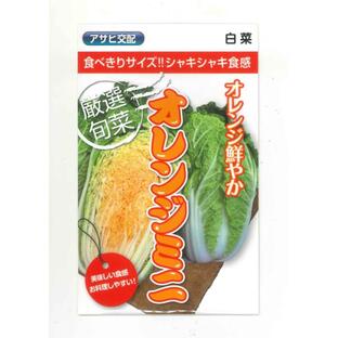 白菜 オレンジミニ 小袋 (株)アサヒ農園の画像