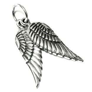 エンジェルウイング（天使の羽） シルバー ペンダントトップ ダブル 天使の翼 アクセサリー【メール便対応可】の画像