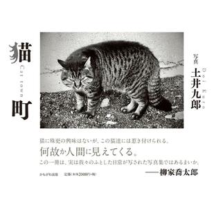 土井九郎 猫町 Bookの画像