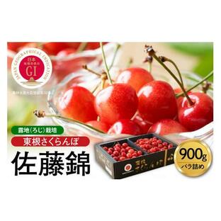 ふるさと納税 果物類 さくらんぼ 山形県 東根市 2025年産 先行予約 GI 「東根さくらんぼ」佐藤錦 900g バラ詰め JA園芸部提供 山形県 東根市 hi001-028の画像
