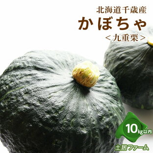 【ふるさと納税】2024年秋発送 かぼちゃ＜九重栗＞10kg《土居ファーム》 野菜 かぼちゃ 九重栗 南瓜 カボチャ 北海道ふるさと納税 千歳市 ふるさと納税 【北海道千歳市】ギフト ふるさと納税の画像