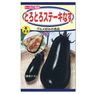 トーホク とろとろステーキなす 種 種の生産地 栃木県 大型品種 家庭菜園 茄子 なす ナスのタネ たね 種子なす 焼きナス 夏野菜 国産の画像