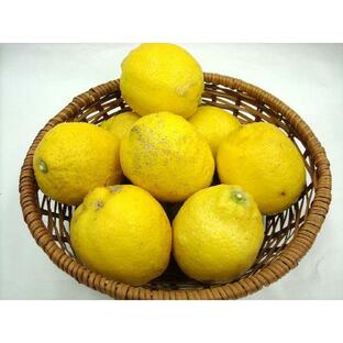 【大玉】国産 瀬戸内レモン1kg 農薬不使用（スポット販売）の画像