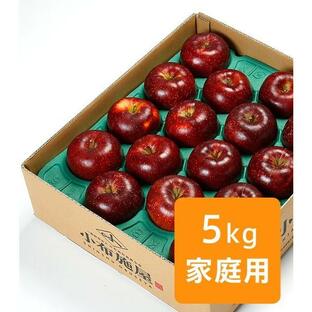 りんご 秋映 ご家庭用 約5kg /常温便 送料無料 長野 産地直送 フルーツ 果物 訳あり 信州 数量限定 アップルパイ 希少の画像